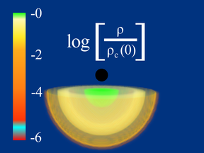 Fig. 1-1: Initial Configuration of Black Hole and Neutron Star